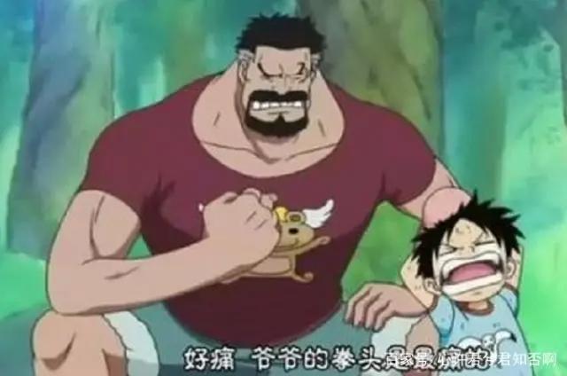 海贼王:路飞家族有多厉害?想要欺负路飞,打赢他们再说吧!
