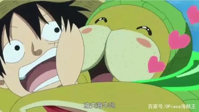 海贼王:路飞5大死忠粉,除了2位绝世女神,竟还有1只动物!