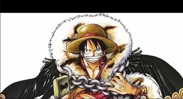 海贼王，新人需要知道的内容