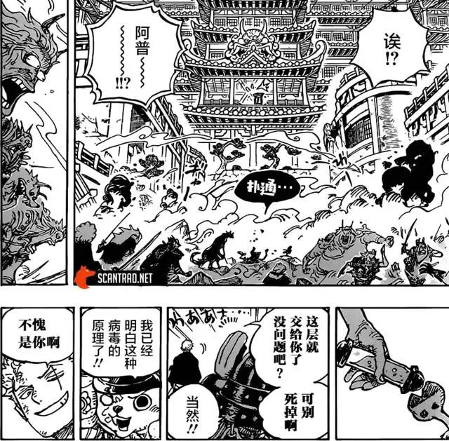 海贼王997话完整版：索隆霸气击败阿普，马尔科带其参与四皇大战