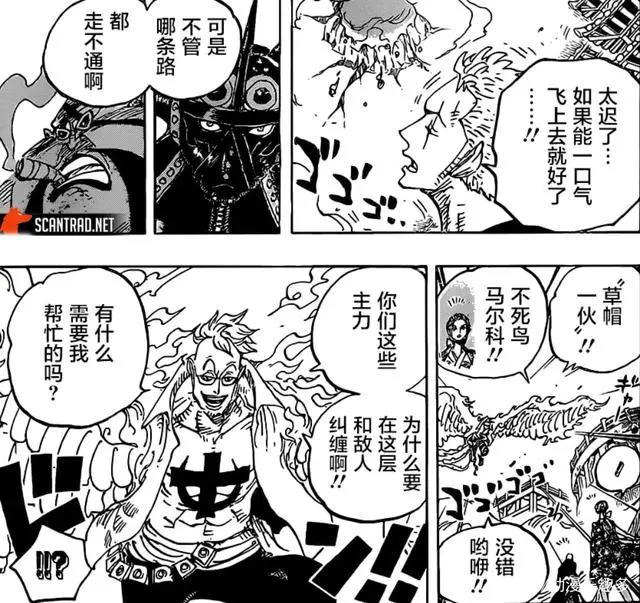 海贼王997话完整版：索隆霸气击败阿普，马尔科带其参与四皇大战