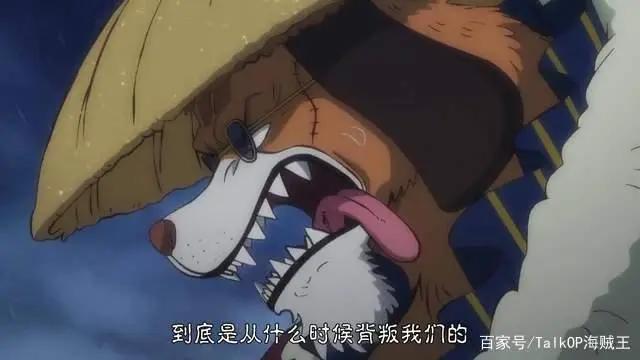 海贼王动画第977集—吹响连续注水剧情的号角