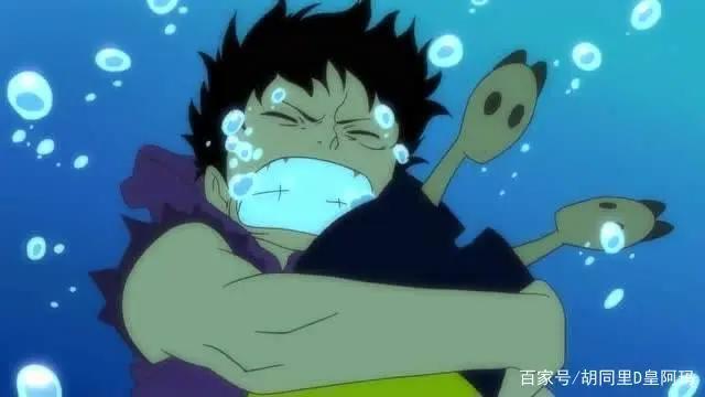 海贼王：海海果实