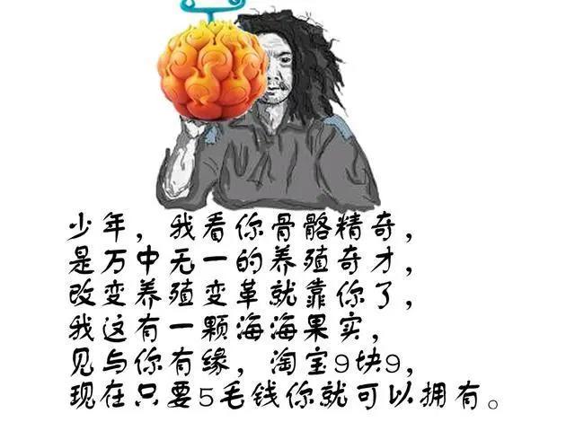 海贼王：海海果实