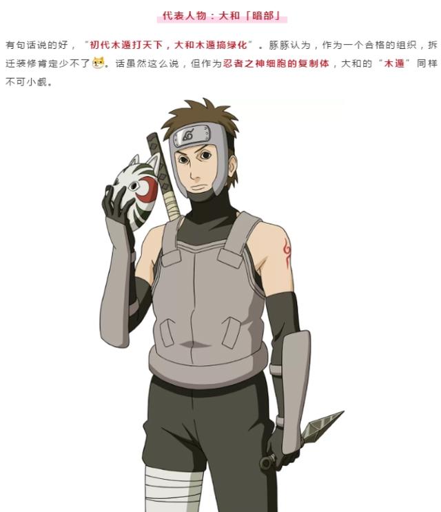 5月神秘忍者身份曝光?策划发文暗示身份,来自暗部,人气超高!
