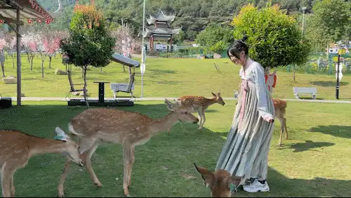 花星球新春鹿岛游园会盛大开园！全国女士门票免费送！