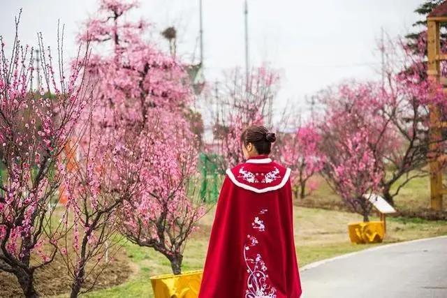 花星球新春鹿岛游园会盛大开园！全国女士门票免费送！