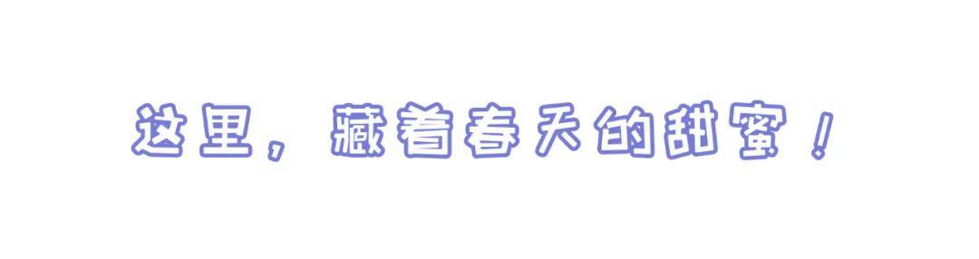 福利|门票免费送!德阳一环路边千亩芝樱已经花开成海!还可戏鹿、玩滑道……