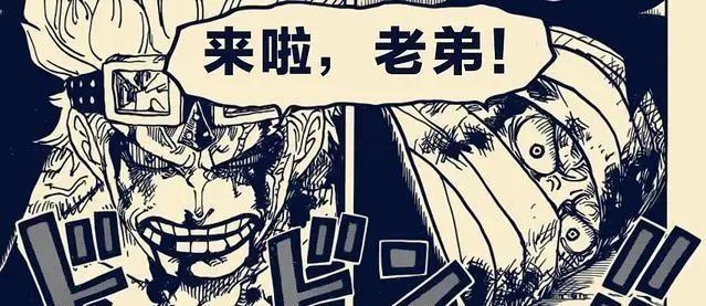 海贼王第924集,尾田真的厉害,罗宾大美女的形象完全没有了!