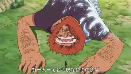 海贼王：青雉关注了罗宾这么多年，他是不是喜欢罗宾？