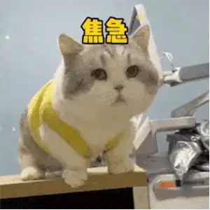 第5期|动漫壁纸/头像合集