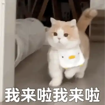 第2期|动漫壁纸/头像合集