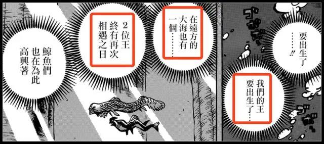 海贼王968话:海王类所说的“王”,白星代表海王,薇薇代表冥王