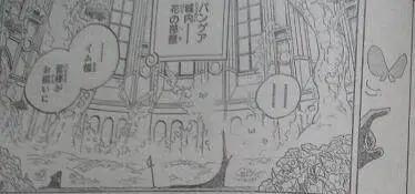 海贼王908话：白星被天龙人抹杀，薇薇拥有古代兵器“冥王”！