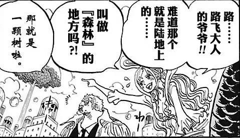 海贼王:卡普夸白星漂亮,很喜欢她,路飞的官配是白星?