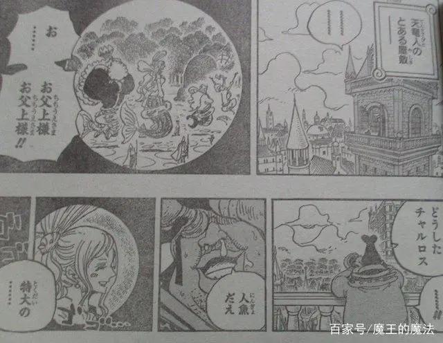 海贼王906话：白星被天龙人盯上，白星沦为世界会议的导火索