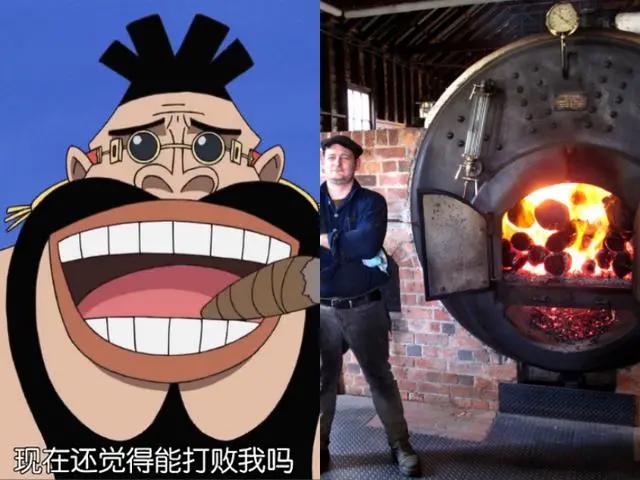 海贼王：5种恶魔果实的转化职业，第2个男人梦想，图5最朴实