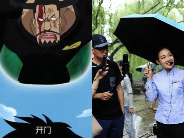 海贼王:5种恶魔果实的转化职业,第2个男人梦想,图5最朴实