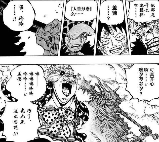 海贼王1001-1005话分析超新星房顶接班，小奇兵屋内发威