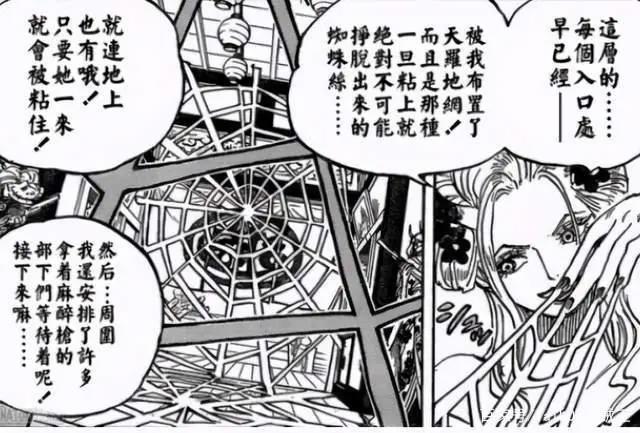 海贼王1001-1005话分析超新星房顶接班，小奇兵屋内发威