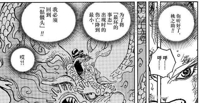 海贼王1028话《腕龙蛇》单话分析及考据解读