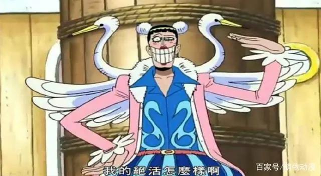 《海贼王》最实用5种果实,橡胶果实上榜,第五种让宅男们疯狂!