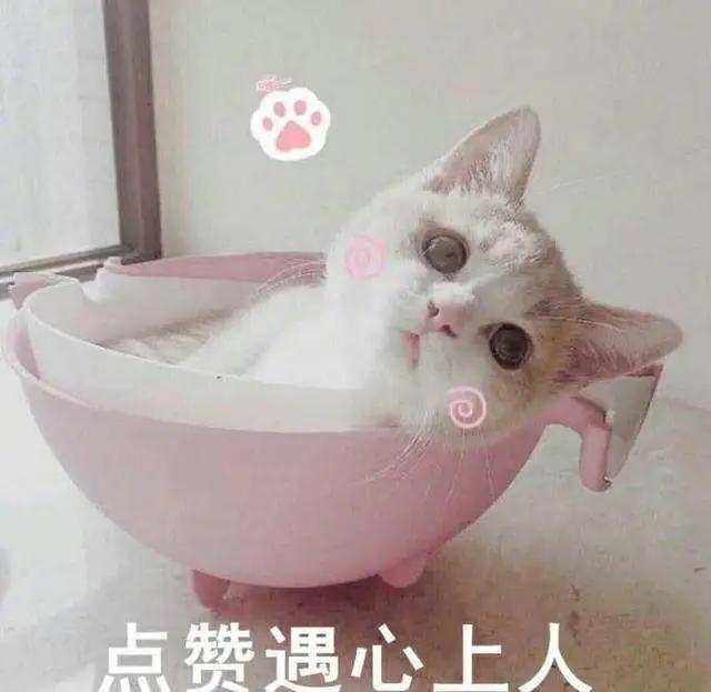 海贼王最新话:革命军队长全公布!这个霸气小姐姐快来pick一下