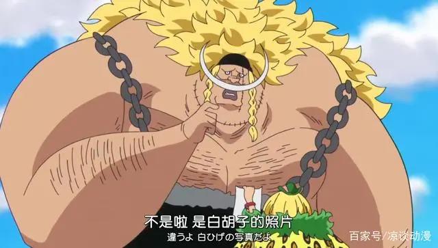 海贼王：至今为止还未登场的神秘人物，白胡子二世的可怕实力