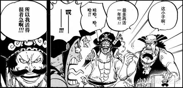 罗杰海贼团，一代海贼王的传奇故事！圆梦的同时也是落幕的开始