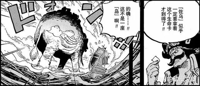 罗杰海贼团，一代海贼王的传奇故事！圆梦的同时也是落幕的开始