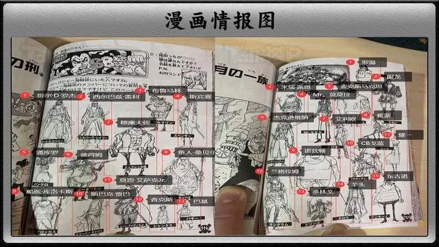尾田终于公布罗杰海贼团全员，仅仅28人，事实证明船员贵精不贵多