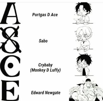 海贼王：亲情胜于一切！艾斯左臂“ASCE”纹身的真正含义