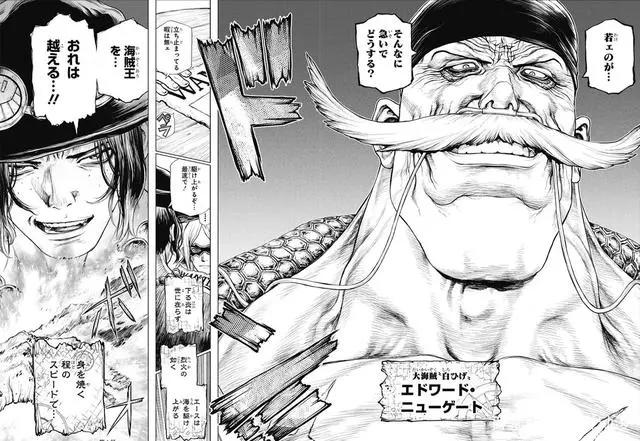 《海贼王》艾斯官方外传开始连载，画风很石纪元，评价两极分化