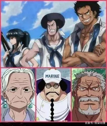 海贼王：D姓是神之天敌，天龙人为何不将蒙奇·D·卡普除掉？