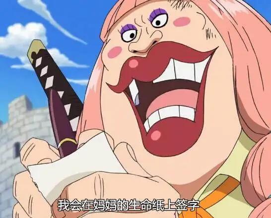 盘点海贼王中实力强大的女船长们,巾帼不让须眉!