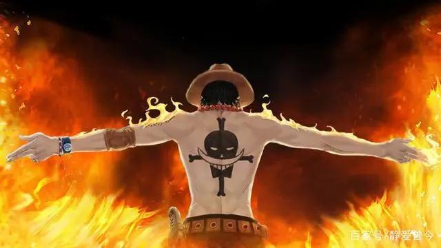 继承了四皇白胡子的5个男人只有他真正继承了老爹的意志
