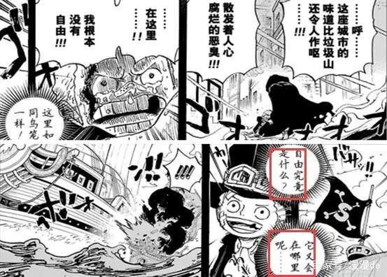 海贼王：萨博会当海贼吗？尾田一张图给出了答案