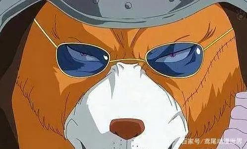 海贼王：实力最恐怖的五只犬，赤犬只能排第三，第一无人敢惹