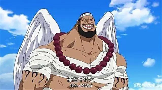 海贼王：别瞧不起这四位强者，最后一位连卡普都不是对手