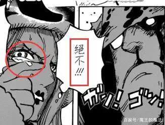 海贼王：她是熊的女儿？波妮的1句话引人怀疑，事情并不简单