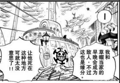 海贼王：罗才是最终BOSS路飞只有打败罗才能成为真正的海贼王