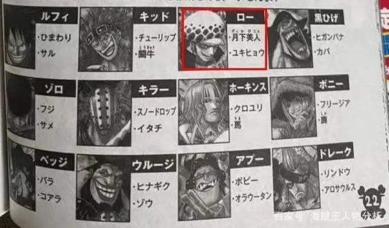 海贼王：尾田说罗的形象花是“昙花”，是否在暗示他的结局