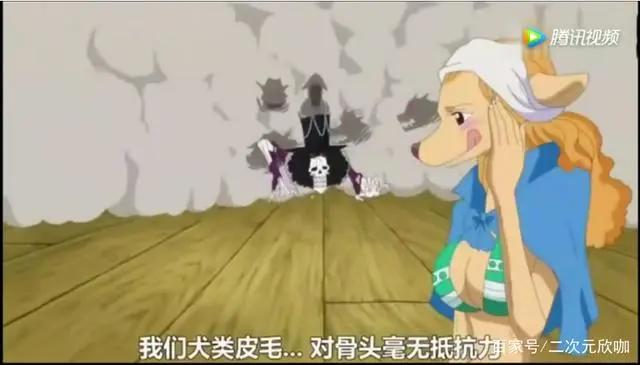 海贼王:布鲁克去了皮毛族!全身骨头被狗宠爱!