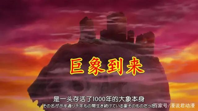 海贼王1037话:五老星商讨抓捕罗宾,凯多醉拳爆发,象主意外到来