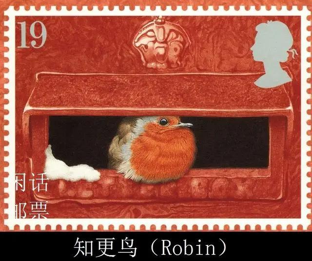“罗宾”是什么？是勇敢、忠贞、神秘的英国国鸟，知更鸟！
