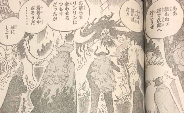 海贼王979话:罗宾穿丝袜长靴惊艳众人,小人族雷欧也将到和之国