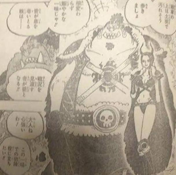 海贼王979话:罗宾穿丝袜长靴惊艳众人,小人族雷欧也将到和之国