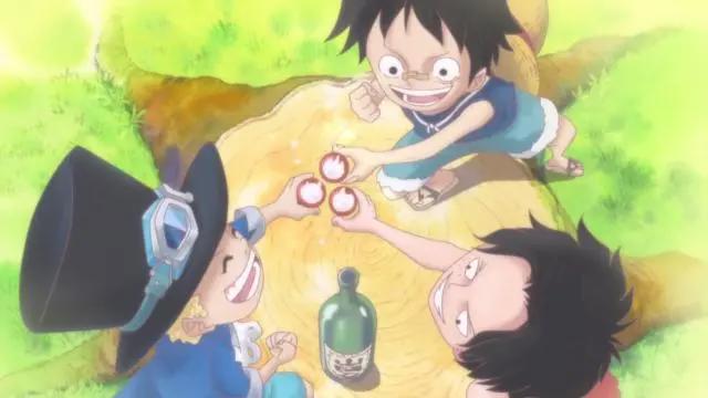 妮可罗宾在革命军总部两年，为何不将萨博活着的情况告诉路飞？