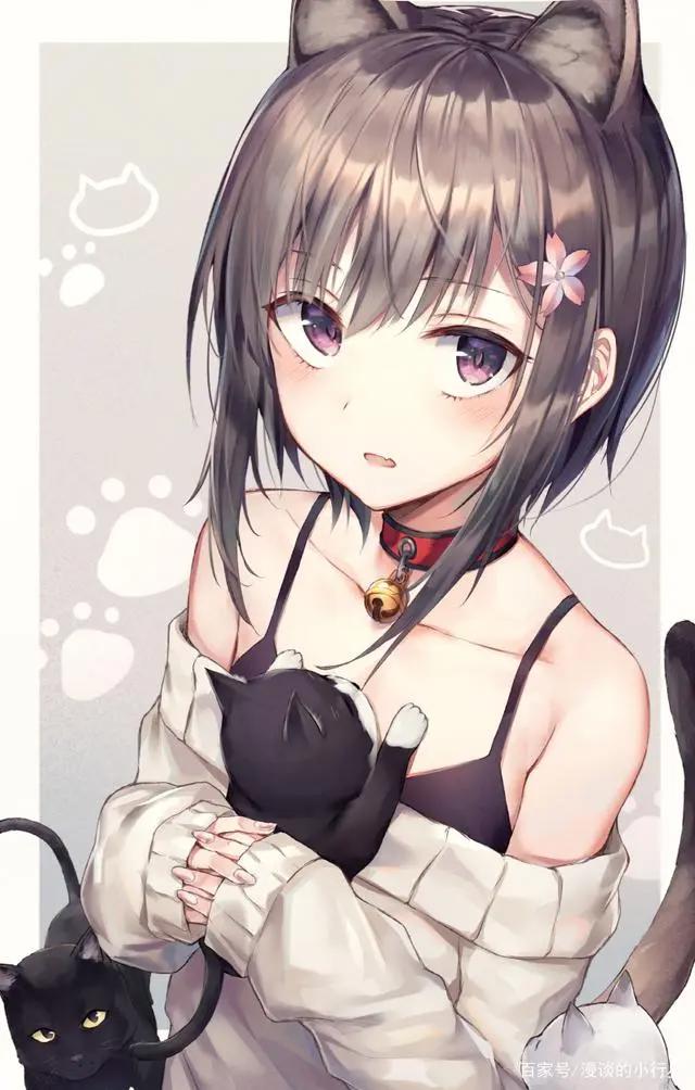 动漫少女:超美壁纸推荐,猫咪女孩系列,一起学猫叫吧!
