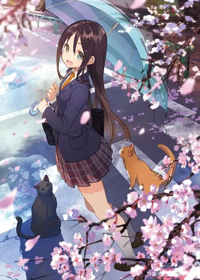 动漫少女:超美壁纸推荐,猫咪女孩系列,一起学猫叫吧!